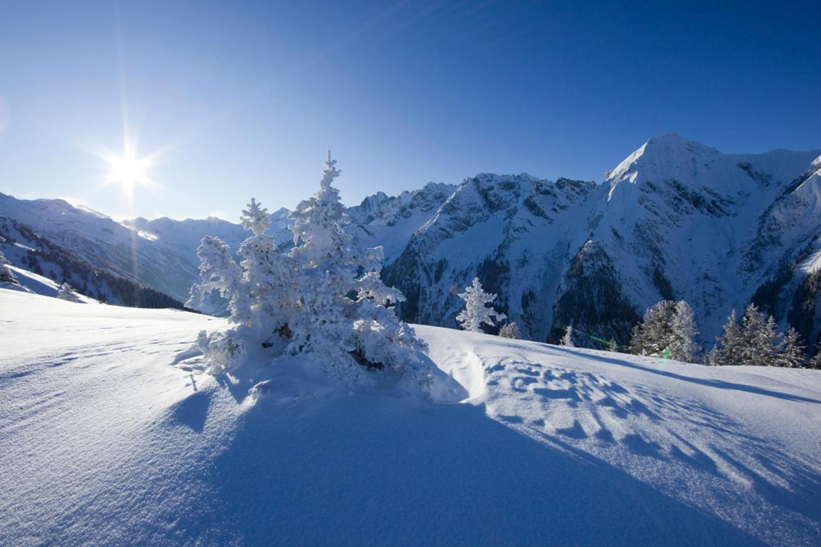 Standlhof Zillertal 2* Uderns