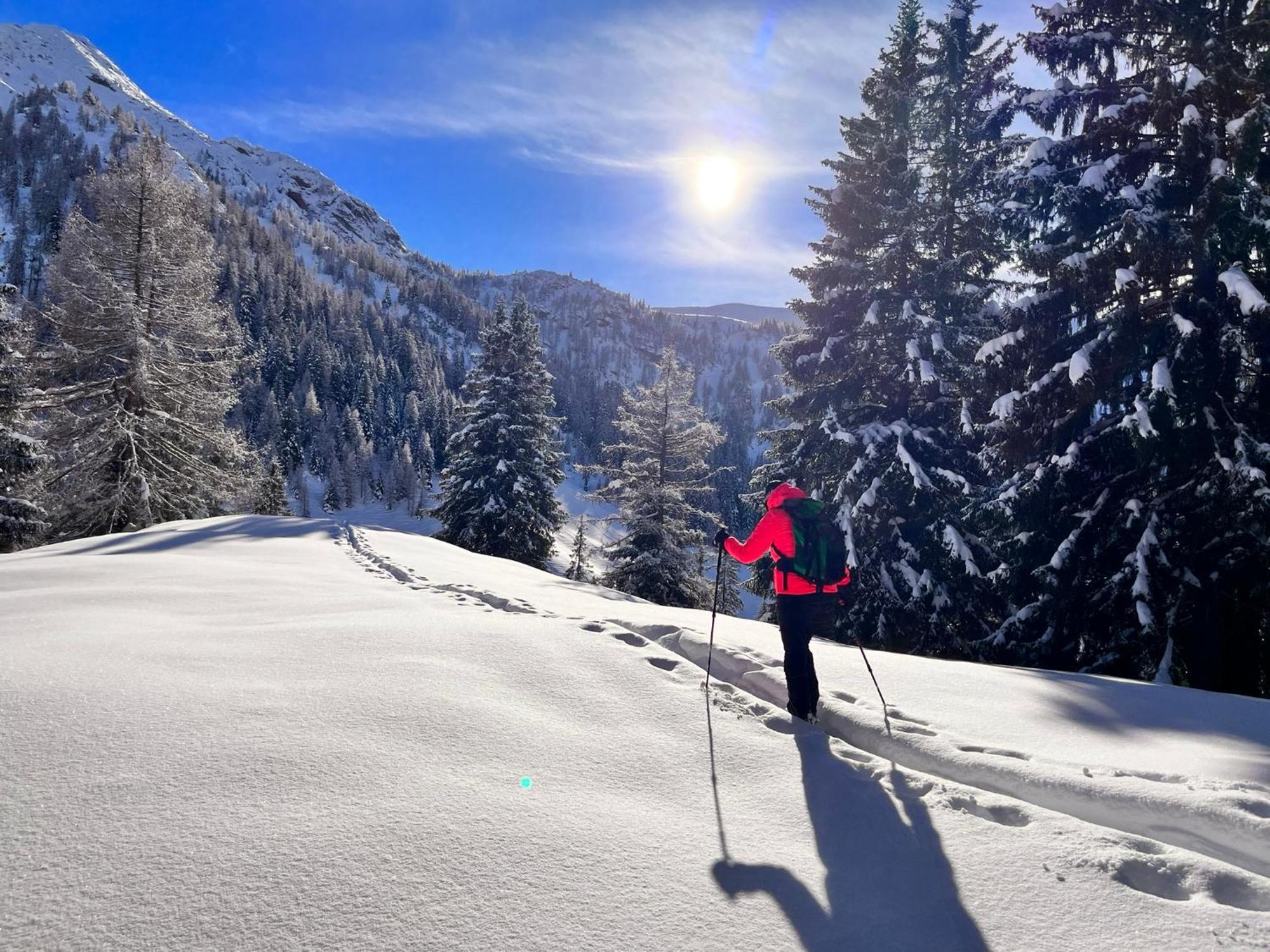 Standlhof Zillertal 2*